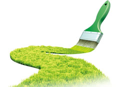 高效的除甲醛產品