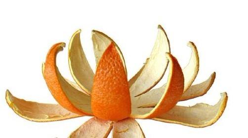 timg (20).jpg timg (20).jpg